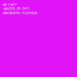 #E114F7 - Magenta / Fuchsia Color Image