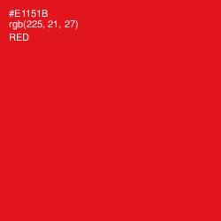 #E1151B - Red Color Image