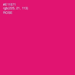 #E11571 - Rose Color Image