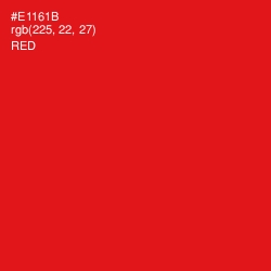 #E1161B - Red Color Image