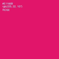 #E1166B - Rose Color Image