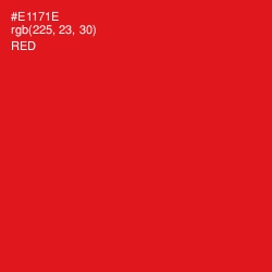 #E1171E - Red Color Image