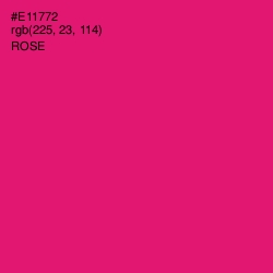 #E11772 - Rose Color Image