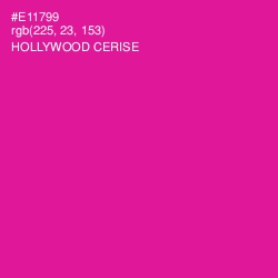 #E11799 - Hollywood Cerise Color Image