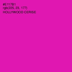 #E117B1 - Hollywood Cerise Color Image