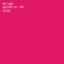 #E11864 - Rose Color Image