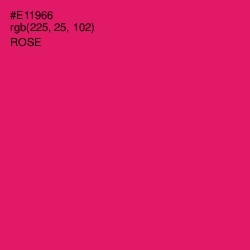 #E11966 - Rose Color Image