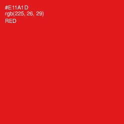 #E11A1D - Red Color Image