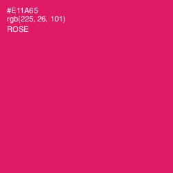 #E11A65 - Rose Color Image