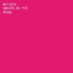 #E11A70 - Rose Color Image