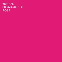 #E11A76 - Rose Color Image