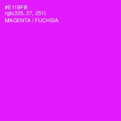 #E11BFB - Magenta / Fuchsia Color Image