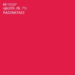 #E11C47 - Razzmatazz Color Image