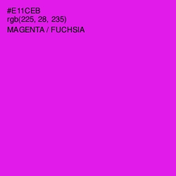 #E11CEB - Magenta / Fuchsia Color Image