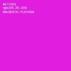 #E11DE0 - Magenta / Fuchsia Color Image