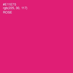 #E11E75 - Rose Color Image