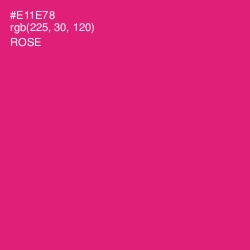 #E11E78 - Rose Color Image