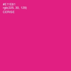 #E11E81 - Cerise Color Image