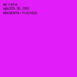 #E11EFA - Magenta / Fuchsia Color Image