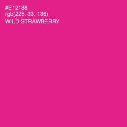 #E12188 - Wild Strawberry Color Image