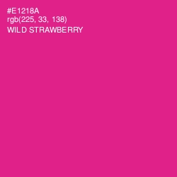 #E1218A - Wild Strawberry Color Image