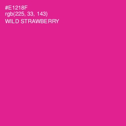 #E1218F - Wild Strawberry Color Image
