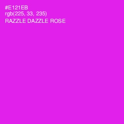 #E121EB - Razzle Dazzle Rose Color Image
