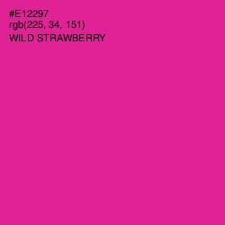 #E12297 - Wild Strawberry Color Image