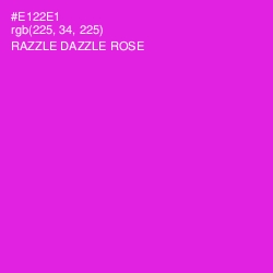 #E122E1 - Razzle Dazzle Rose Color Image