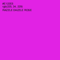 #E122E5 - Razzle Dazzle Rose Color Image