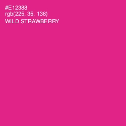 #E12388 - Wild Strawberry Color Image
