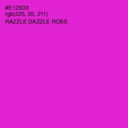 #E123D3 - Razzle Dazzle Rose Color Image