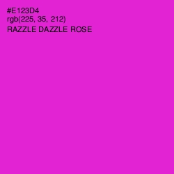 #E123D4 - Razzle Dazzle Rose Color Image