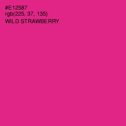 #E12587 - Wild Strawberry Color Image