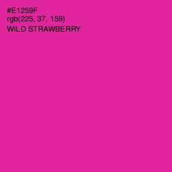 #E1259F - Wild Strawberry Color Image