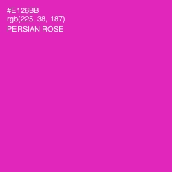 #E126BB - Persian Rose Color Image