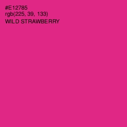 #E12785 - Wild Strawberry Color Image