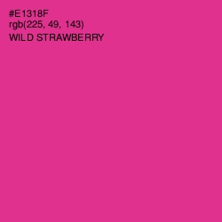 #E1318F - Wild Strawberry Color Image