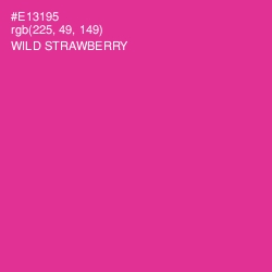 #E13195 - Wild Strawberry Color Image