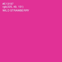 #E13197 - Wild Strawberry Color Image