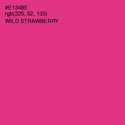 #E13485 - Wild Strawberry Color Image