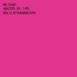 #E13491 - Wild Strawberry Color Image