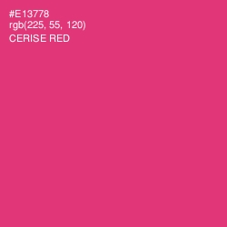 #E13778 - Cerise Red Color Image