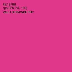 #E1378B - Wild Strawberry Color Image