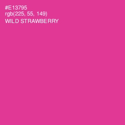 #E13795 - Wild Strawberry Color Image