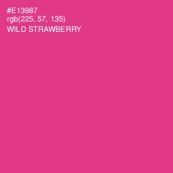 #E13987 - Wild Strawberry Color Image