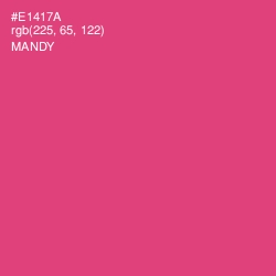 #E1417A - Mandy Color Image