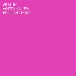 #E141B4 - Brilliant Rose Color Image