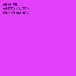 #E141FB - Pink Flamingo Color Image