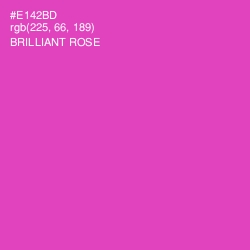 #E142BD - Brilliant Rose Color Image